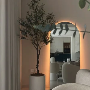 Sylvia Backlit Frameless Arch Mirror